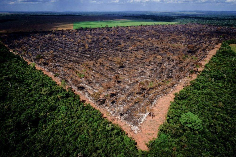 Fake news, lies and videotape: The tale of rampant destruction in the Brazilian Amazon Forest