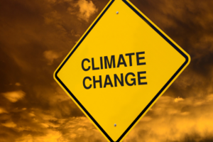 Earth surpasses 1.5°C warming threshold for 12 months in a row