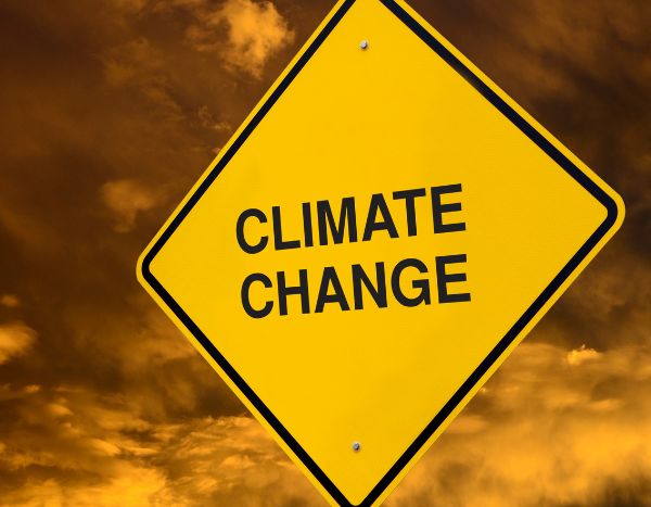Earth surpasses 1.5°C warming threshold for 12 months in a row