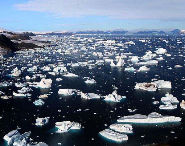 Global warming exposed 2,466 km of new coastline in the Arctic in 20 years: Report