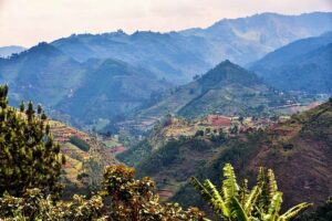 Adaptation methods in African mountains need to be restructured: Report