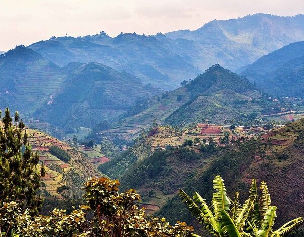 Adaptation methods in African mountains need to be restructured: Report