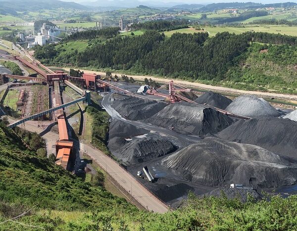 New coal addition was less than 1% in 2024: Report
