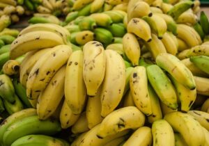 60% of banana growing regions threatened due to rising heat: Report