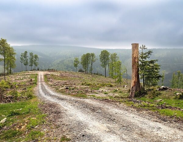 Global policy goals under threat due to their siloed nature: Report