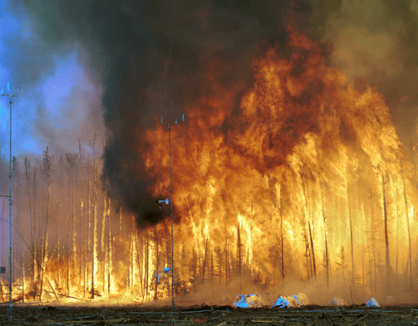 2024 was the hottest year ever: Report