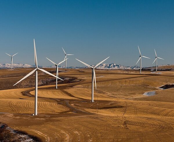 97% of global business leaders want a rapid transition to renewables: Report