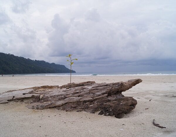 Southwest monsoon enters Andaman and Nicobar region, a week in advance