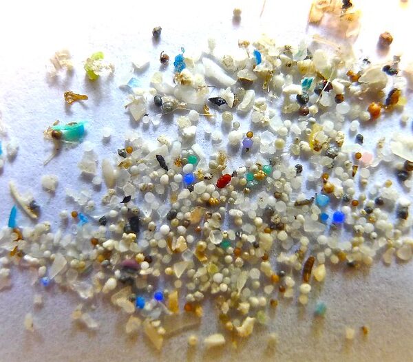 Handle with care, microplastics are everywhere