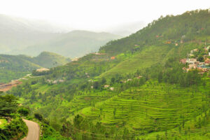 Uttarakhand lost 27% of its cropland in last 10 years due to climate change: Report