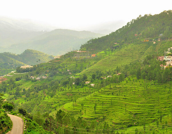 Uttarakhand lost 27% of its cropland in last 10 years due to climate change: Report