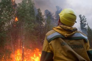 Wildfires emitted more than double Germany’s carbon emissions this year