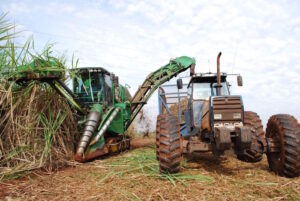 Brazil: Ethanol industry says blended fuel cars cleaner than EVs, backs H2 fuel cells