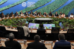 Over $5.5 Billion Announced for TFFF to End Deforestation at COP30