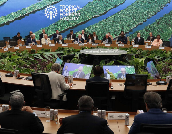 Over $5.5 Billion Announced for TFFF to End Deforestation at COP30
