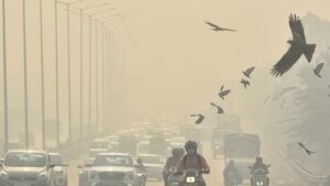 Pave streets, enforce stubble burning ban to reduce air pollution: House panel