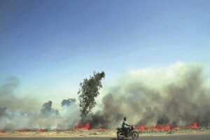 Top court summons chief secys of 4 states over stubble burning incidents