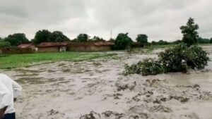 Expert committee recommends imposing huge fines on NTPC, Essar Power for ash dyke breaches in Singrauli