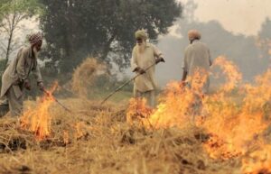 Crop burning already: ‘‘Early varieties’ of crops being harvested
