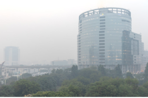 MPs across parties come together to strengthen govt action on air pollution