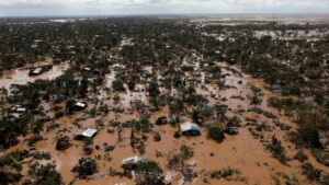 2019: Another year on the dreaded climate curve