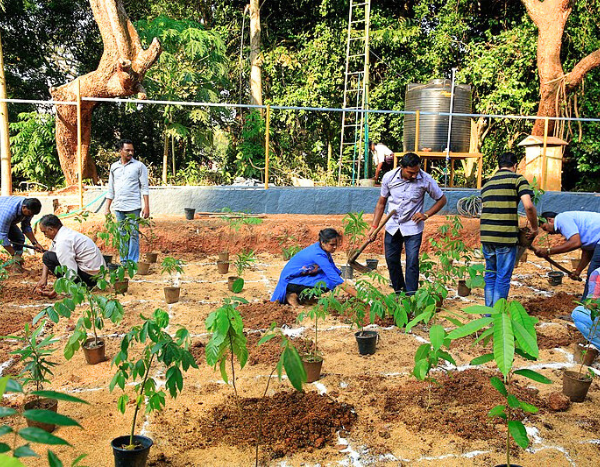 India’s Green Credits programme: Choosing creative accounting over credibility?