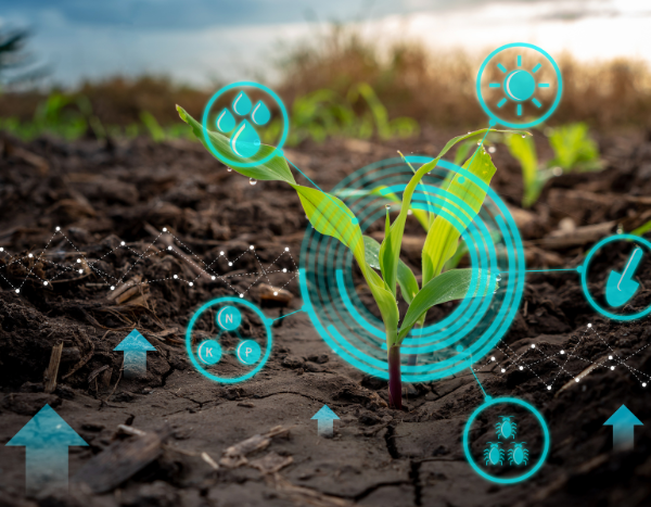 Hidden costs of global agrifood systems worth at least $10 trillion: Report