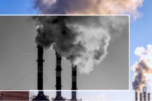 COP28, carbon budget