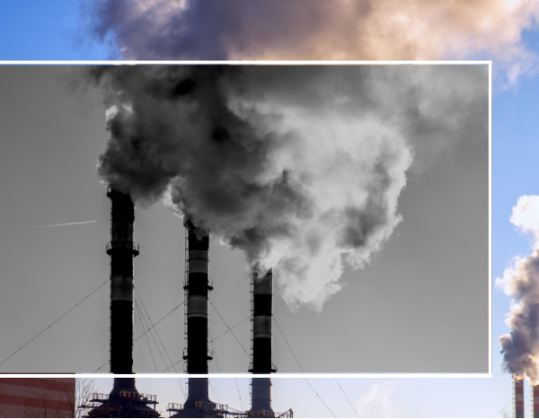 COP28, carbon budget