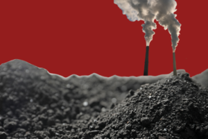 Global coal demand expected to decline 2.3% by 2026 : IEA report