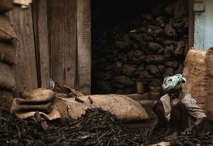 100% FDI in coal: India deaf to the canary’s tune
