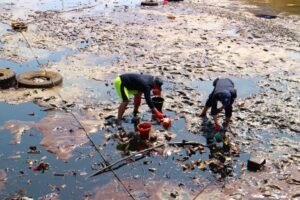 790% rise in environmental crimes in India between 2016 and 2017: NCRB data