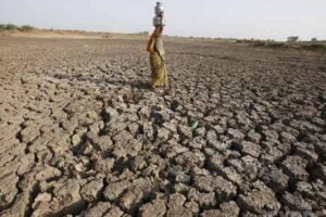 10,655 farmers committed suicide in 2017: NCRB