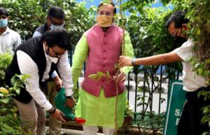 India’s environment minister asks farmers to grow plantations on their land