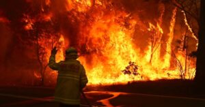 Massive amounts of land, flora & fauna destroyed in deadly, unrelenting Australian bushfires