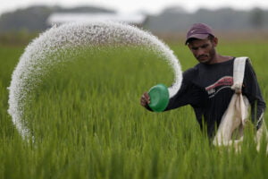 Rising levels of N2O from nitrogen-based fertilisers hampering climate progress: Study