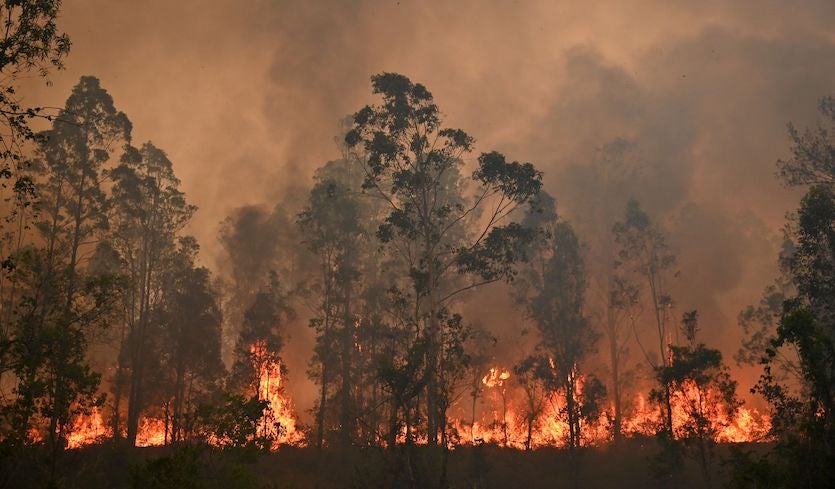 Australian state declares emergency amidst record heat wave, raging wildfires