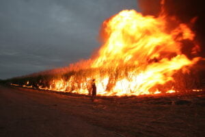 Australia, your country is burning…