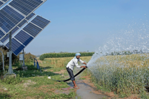 Decentralised solar plants a win-win for farmers, govt: Report