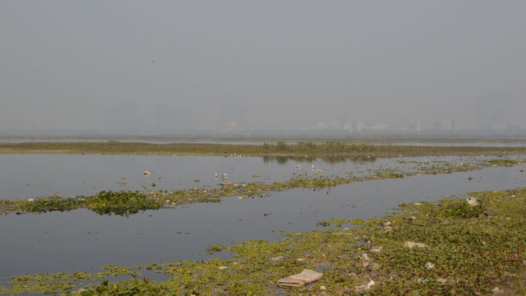NGT Issues Notice to Centre and UP over Yamuna Pollution in Mathura, Vrindavan