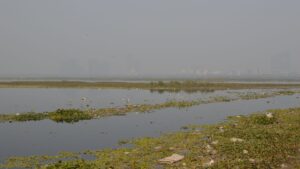 NGT Issues Notice to Centre and UP over Yamuna Pollution in Mathura, Vrindavan