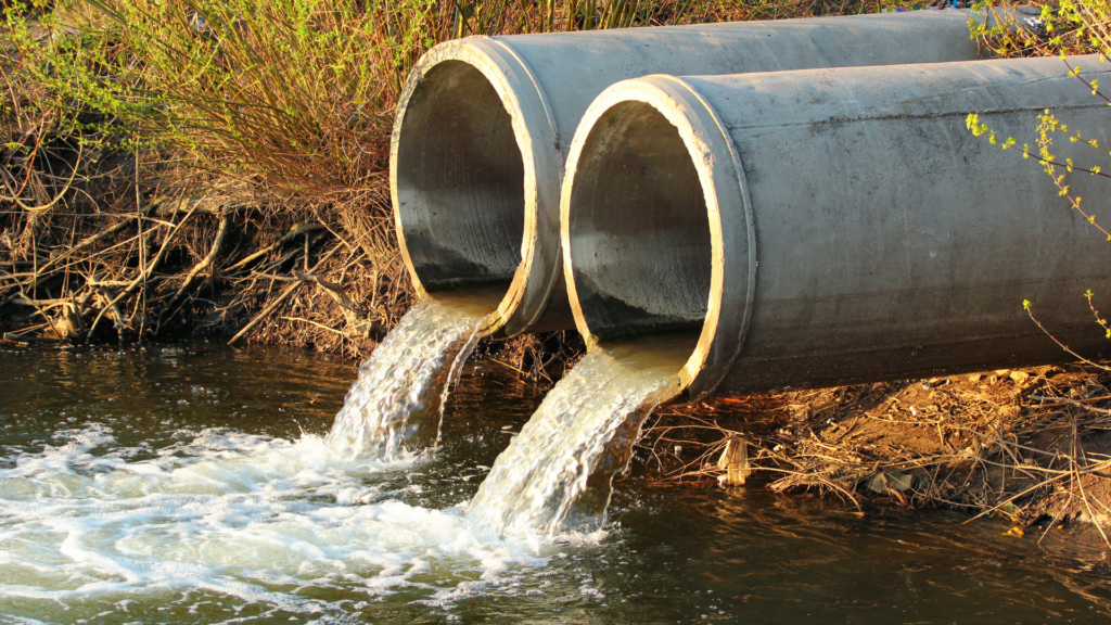 Gurugram to Plug Sewage Discharge Into Drains to Cut Yamuna Pollution