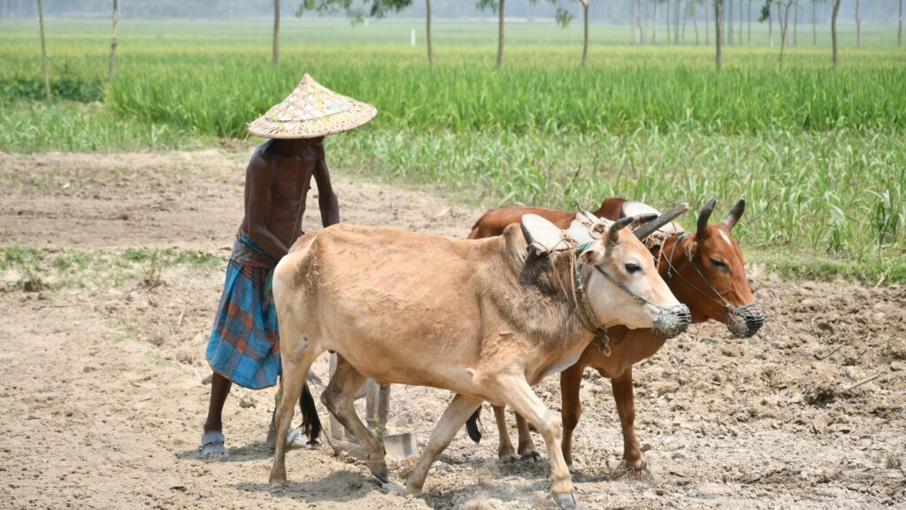 Banda Boils at 47.6°C; 95 of 100 World’s Hottest Cities in India