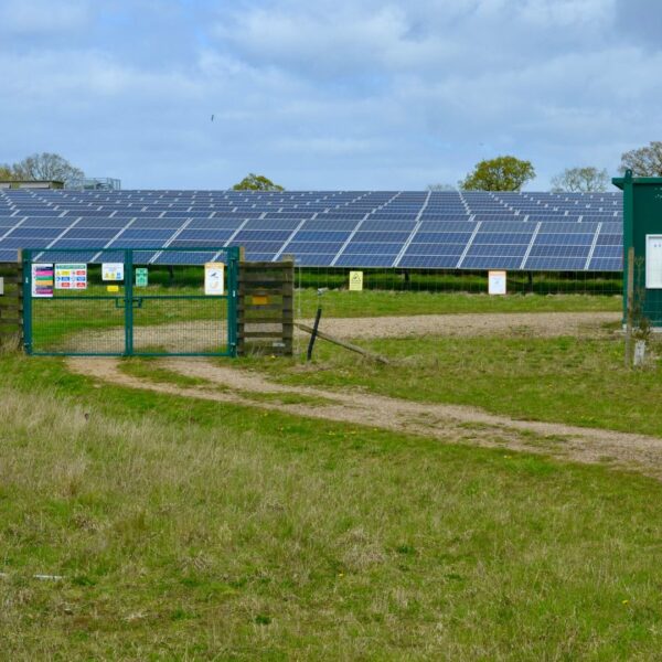 Solar Infra Helps India Meet Record 256GW Power Demand