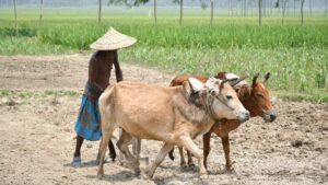 Banda Boils at 47.6°C; 95 of 100 World’s Hottest Cities in India