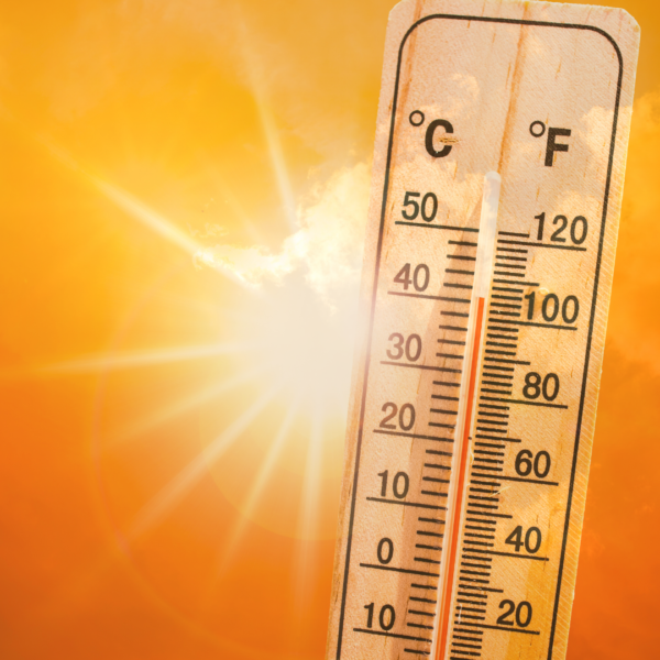 Record Heat in March, Second-Warmest Sea Temperatures Signal Approaching El Nino