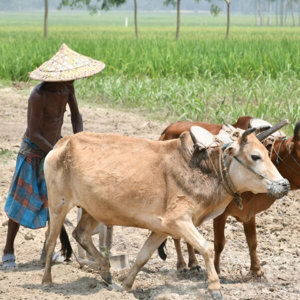 Banda Boils at 47.6°C; 95 of 100 World’s Hottest Cities in India