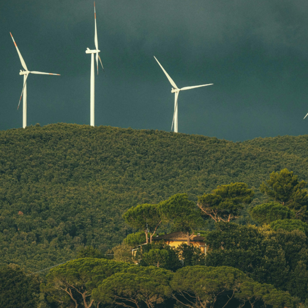 India Ranks Third in Renewable Energy Capacity After China, US