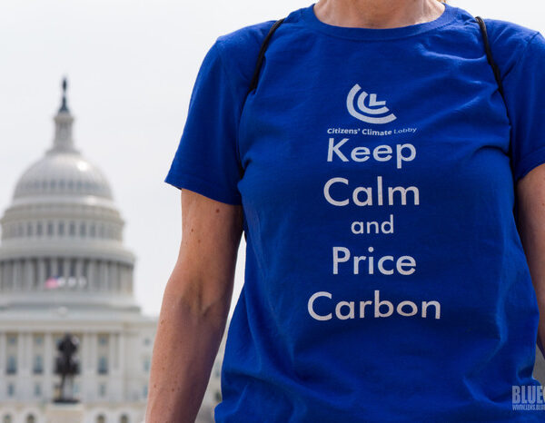 Existing carbon tax policies cannot keep temperature rise under 2°C: Report