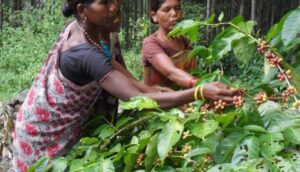 The key to future climate adaptation is to tap past knowledge